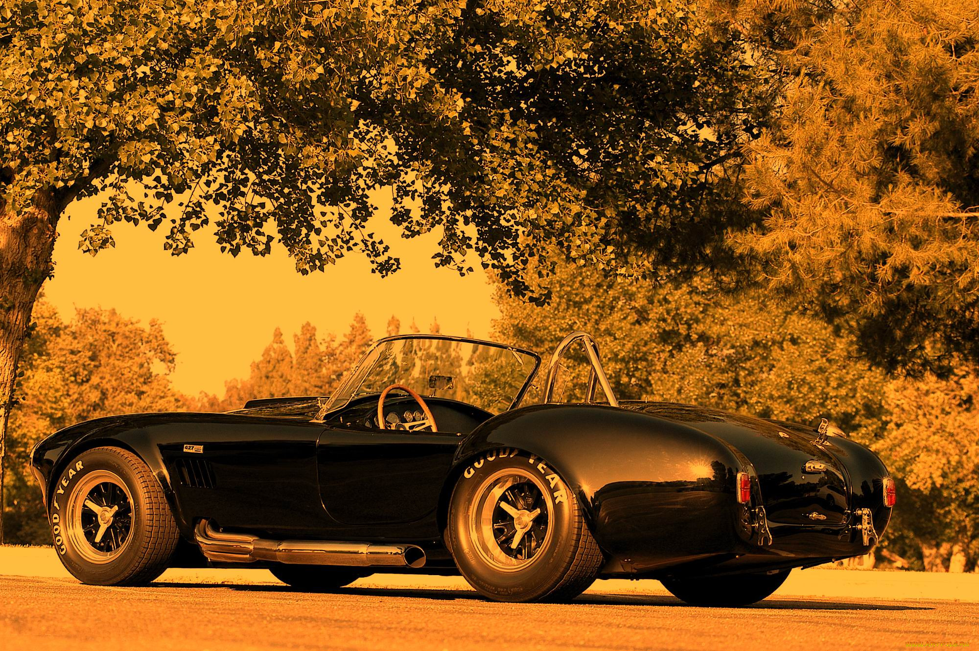 , ac, cobra, shelby
